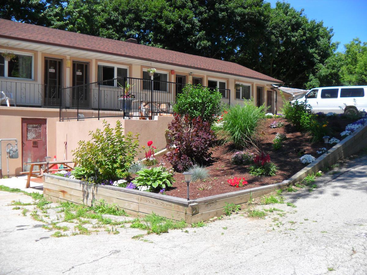 Forest Plaza Motel Mount Forest Exterior photo