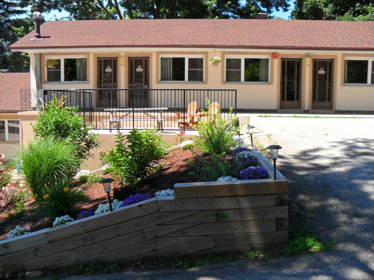 Forest Plaza Motel Mount Forest Exterior photo