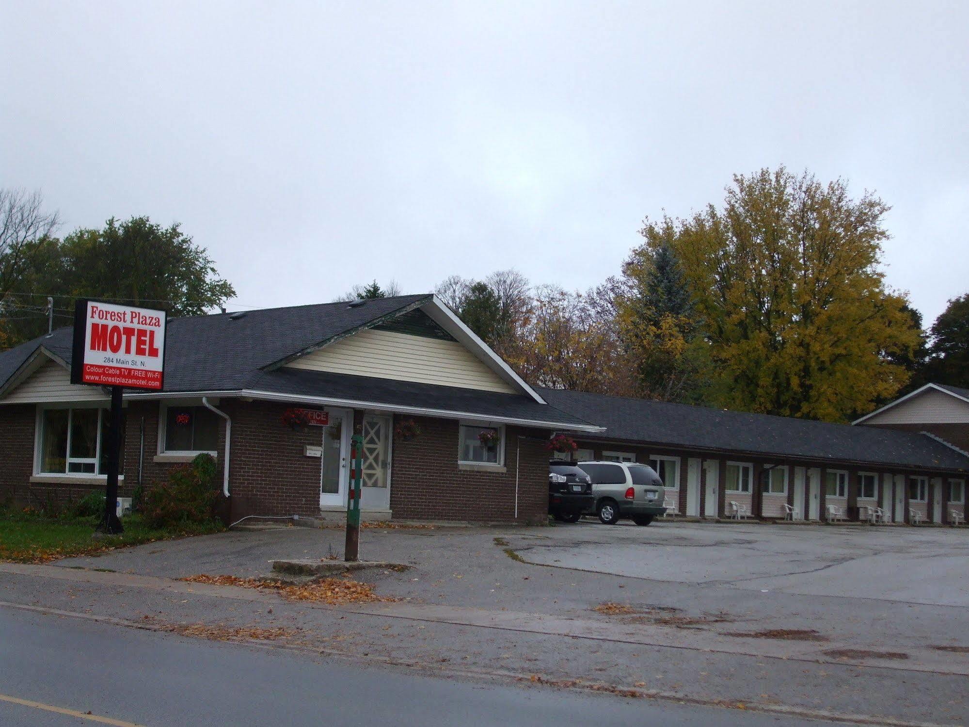 Forest Plaza Motel Mount Forest Exterior photo